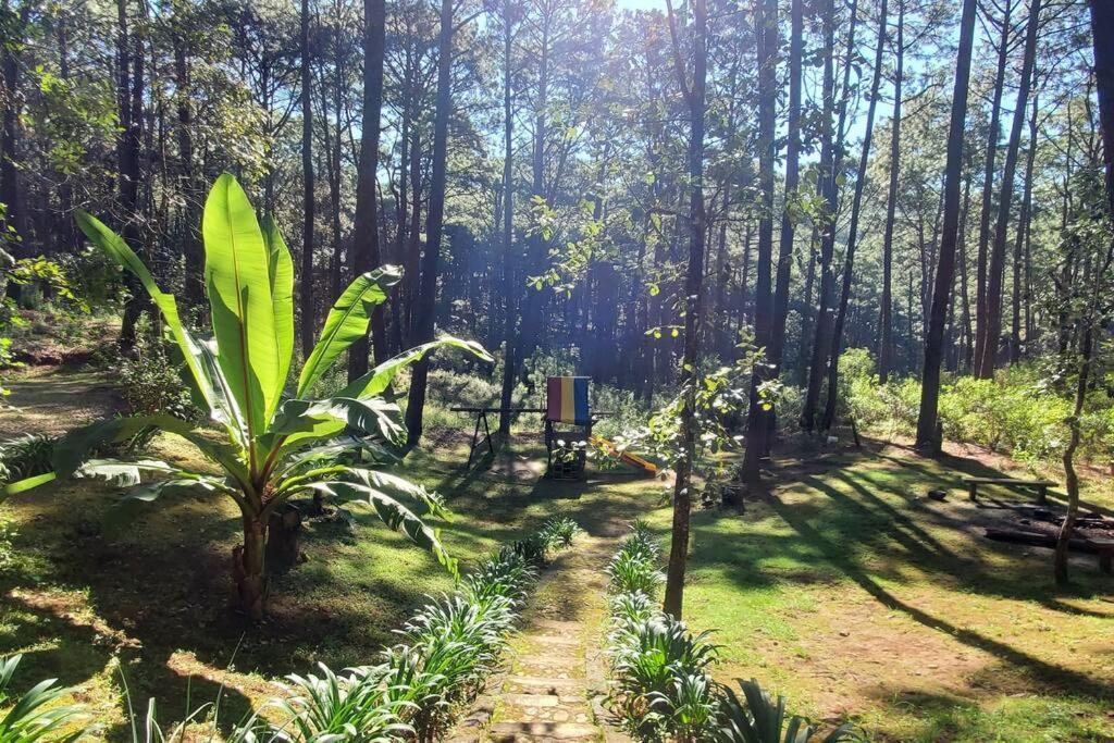 Cabana Rustica A 1Km De Cascada Mazamitla Exterior photo